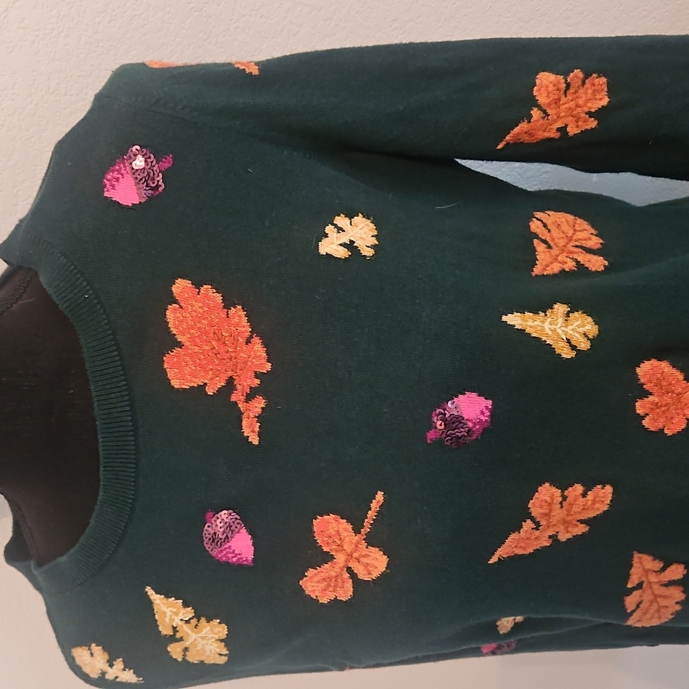Talbots Fall Sweater - Picture 2 of 10
